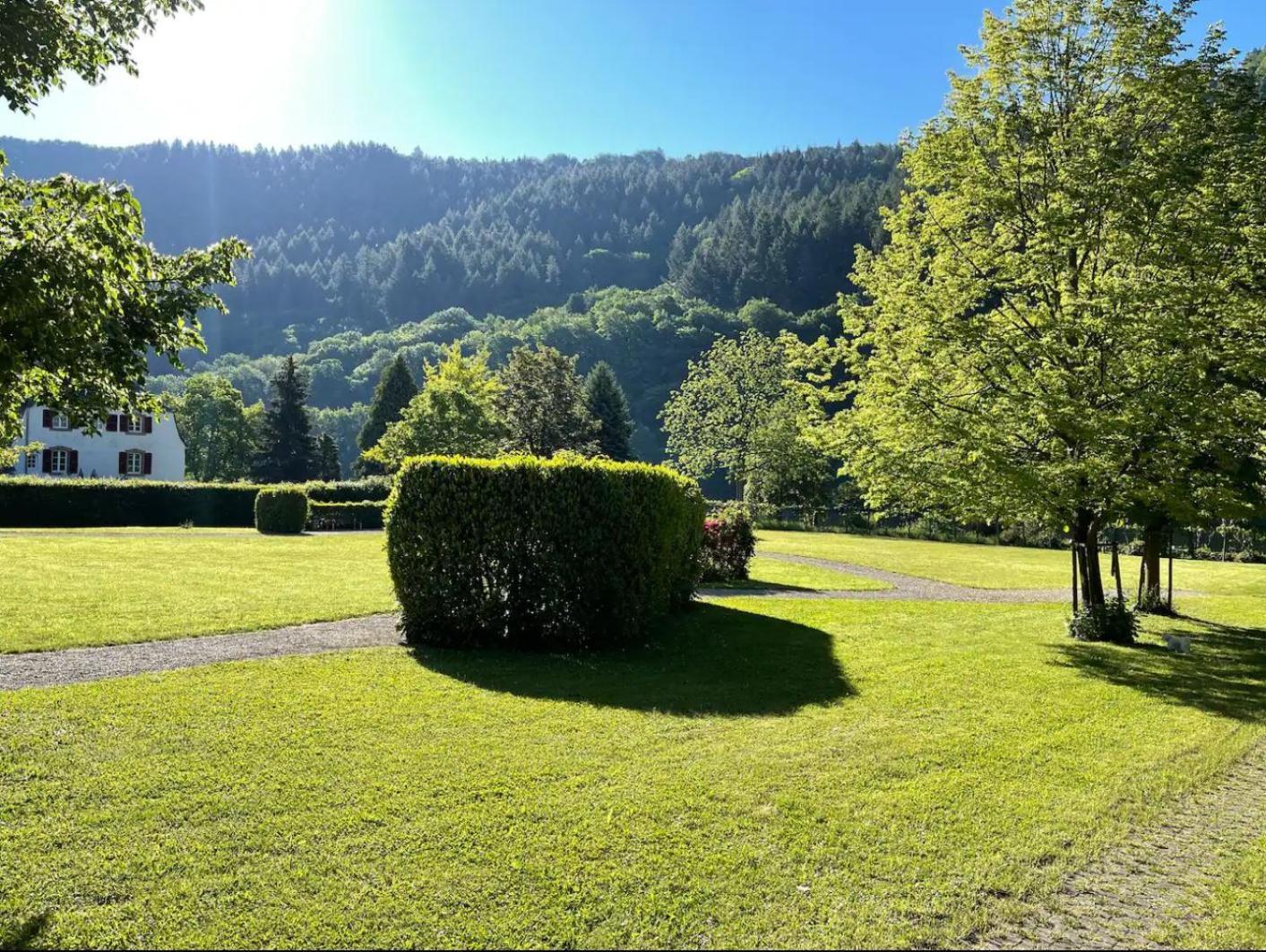 Appartamento Penthouse Palais Mosel Traben-Trarbach Esterno foto
